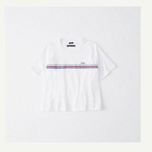 Abercrombie & Fitch Americana Boxy Tee Small